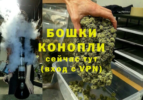 прущая мука Ельня