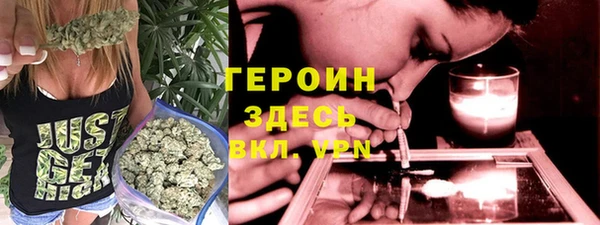 шишки Горняк