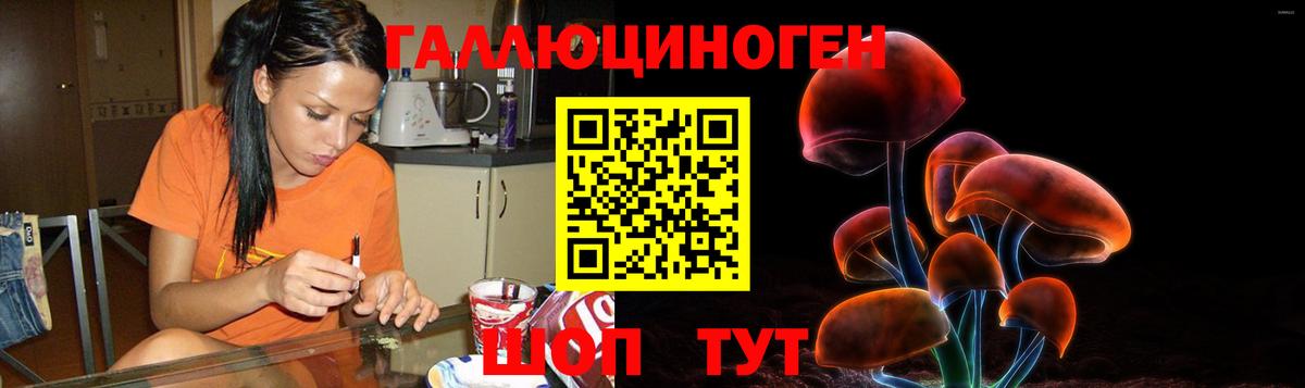 Галлюциногенные грибы MAGIC MUSHROOMS  даркнет сайт  Выкса  Псилоцибиновые грибы Psilocybe  Вход с VPN 